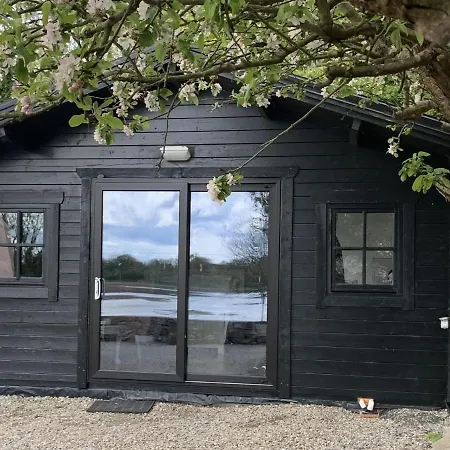 The Cosy By The Shore *