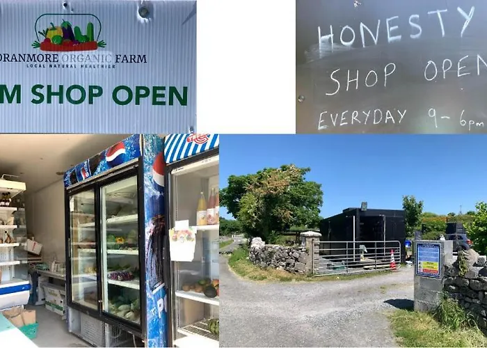 The Cosy By The Shore Lejlighed Galway